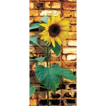 Fototapeta vliesová slunečnice s cihlami 90x202cm FTN V 2841