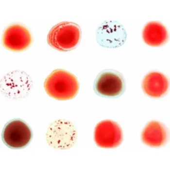 Zahraniční hudba Scratch My Back/And I'll Scratch Yours - Peter Gabriel [CD]