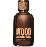 Dsquared2 Wood pour homme toaletní voda pánská 100 ml