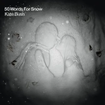 Zahraniční hudba 50 Words For Snow - Kate Bush [2LP]