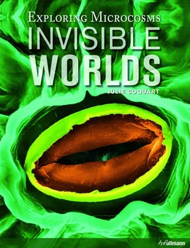 Cizojazyčná kniha Invisible Worlds - Julie Coquart + [eBook] (EN)