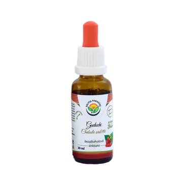 Přírodní produkt Salvia Paradise Guduchi - Chebule srdčitá AF tinktura