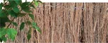 Nohel Garden rohož vřes 1,5 x 3 m