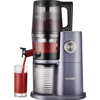 Hurom H34 One Stop Cold Press Juicer platinova