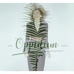 Oppidum - Lenka Filipová [CD]