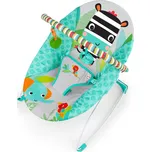 Bright Starts Zig Zag Zebra