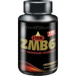 Inkospor X-treme ZMB6 120 tbl.