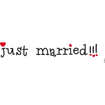 Svatební dekorace SPZ just married!!!
