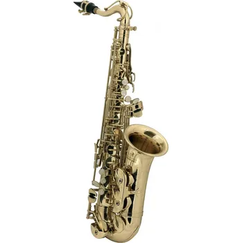 Saxofon Roy Benson Roy Benson AS-201 Saxofon alt
