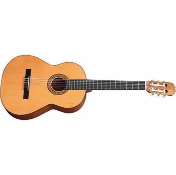 Klasická kytara Alvaro 30 klasická kytara