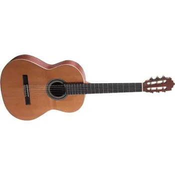 Klasická kytara Paco Castillo Paco Castillo 201 klasická kytara