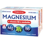 Terezia Company Magnesium + vitamin B6…
