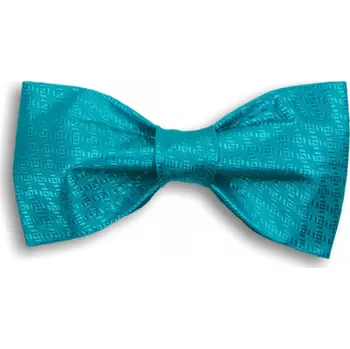 Motýlek Tyrkysový tkaný motýlek