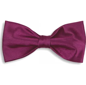 Motýlek Purpurový motýlek