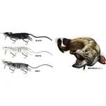 Savage Gear 3D Rad imitace krysy 20 cm/32 g barva: Grey (šedá)