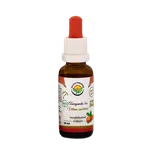 Salvia Paradise Ašvaganda AF tinktura…