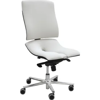 ÁSANA Steel Standard