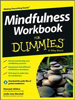 Osobní rozvoj Mindfulness Workbook For Dummies – S. Alidina, J. J Marshall [EN] (2013, brožovaná)