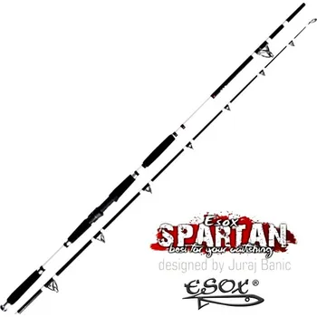 Rybářský prut Prut Esox Spartan 1 - 280 cm/200-450 g