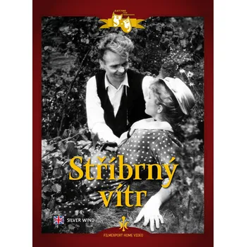 DVD film DVD Stříbrný vítr (2011)