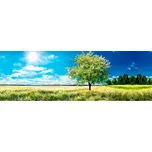 Dimex KI-180-085 180 x 60 cm