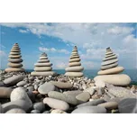 Dimex MS-5-0204 375 x 250 cm