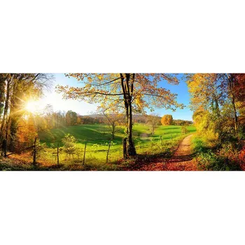 Fototapeta Dimex MP-2-0066 375 x 150 cm