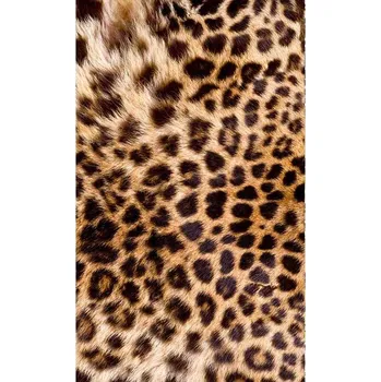 Fototapeta DIMEX MS-2-0184 150 x 250 cm leopardí kůže