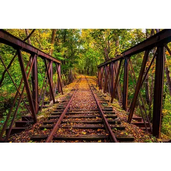 Fototapeta Dimex MS-5-0055 375 x 250 cm