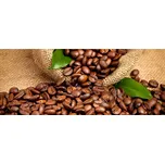 Dimex MP-2-0244 375 x 150 cm kávová zrna