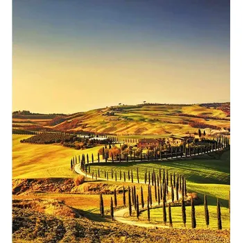 DIMEX MS-3-0187 225 x 250 cm, Toskánsko