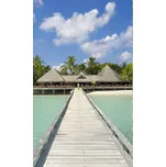 Dimex MS-2-0196 150 x 250 cm