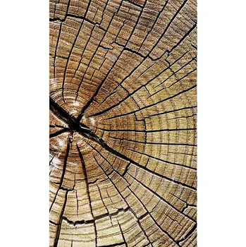 Fototapeta Dimex MS-2-0162 150 x 250 cm