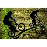 Dimex MS-5-0328 375 x 250 cm