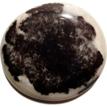 Drahý kámen Tromlovaná placička - Jaspis zebra 01