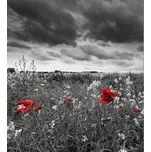 DIMEX MS-3-0091 225 x 250 cm