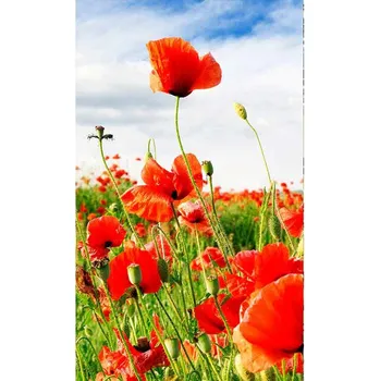 Fototapeta Dimex MS-2-0090 150 x 250 cm