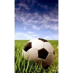 DIMEX MS-2-0305 150 x 250 cm fotbalový…