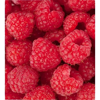 DIMEX MS-3-0187 225 x 250 cm, maliny