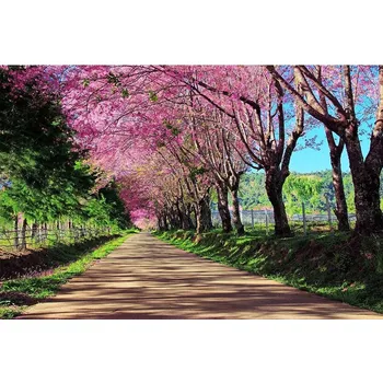 Fototapeta Dimex MS-5-0106 375 x 250 cm