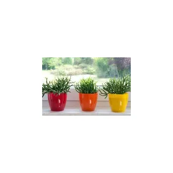 Kraków květináč AGA 18 cm Červený