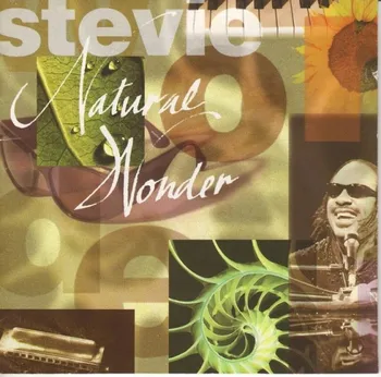 Zahraniční hudba Natural Wonder - Stevie Wonder [2CD]