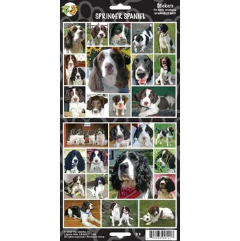 samolepka James & Steel,Samolepky špringršpaněl