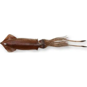 Umělá nástraha savage gear 3D TPE swim squid 26cm Brown124g