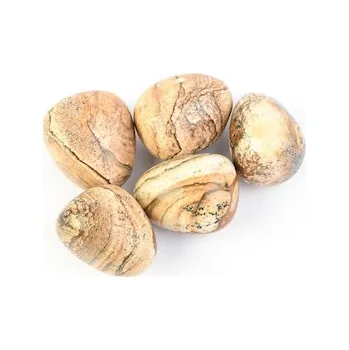 Dekorace do akvária MACENAUER Kámen obrázkový 1-5 kg, 1 ks