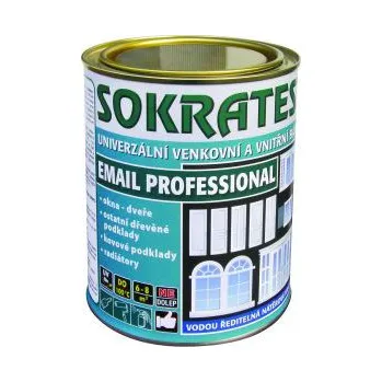 Lak na dřevo Sokrates Email professional vodouředitelná vrchní lesklá barva 0,7kg 1000 bílá