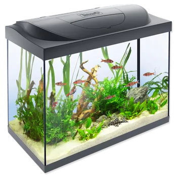 Tetra Starter Line set LED 80 l černé