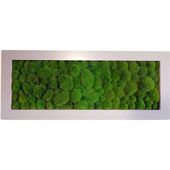 Obraz Mechdekor Kopečkový mech 136 x 56 cm dřevěný rám šedý