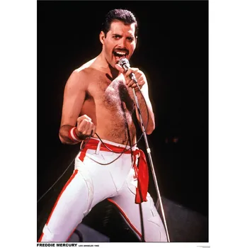 Plakát Plakát, Obraz - Queen (Freddie Mercury) - Los Angeles 1982