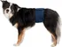 kalhotky pro psa Trixie Inkontinenční pás pro psa tmavě modrý